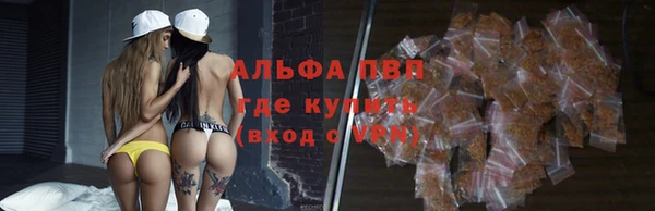 прущие крисы Алзамай