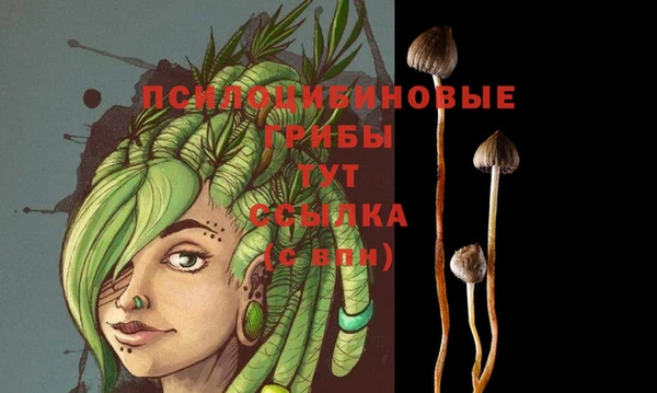 трава Абинск