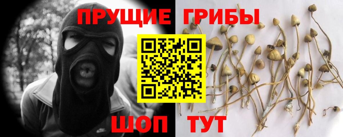 Псилоцибиновые грибы MAGIC MUSHROOMS  Вход с VPN  Ржев 